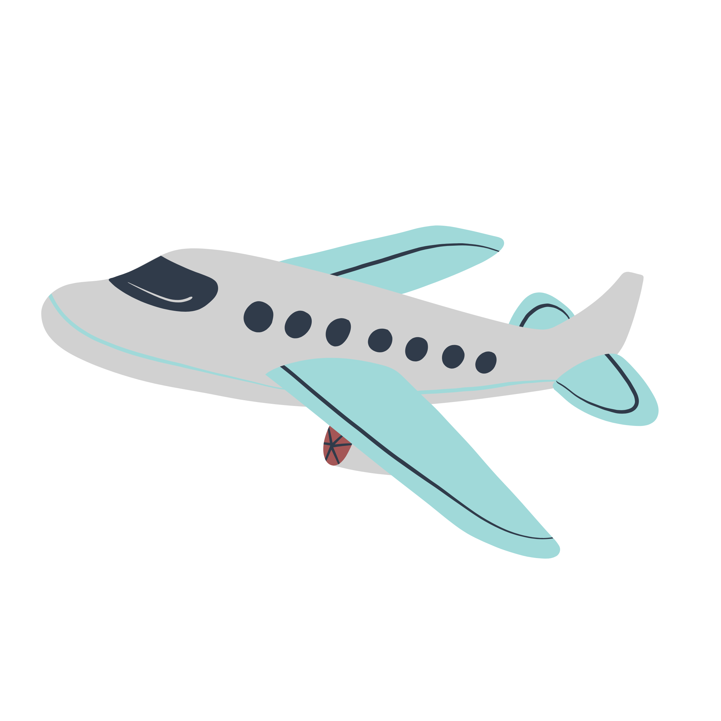 Alt Image